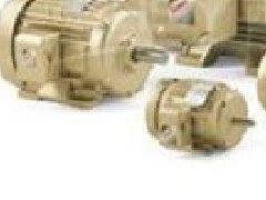 美國C.E. Niehoff無刷發(fā)電機