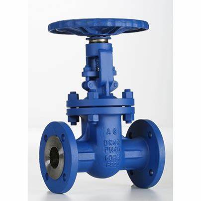 供應意大利Valvosider閥門、過濾器