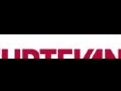 美國斯特文特Sturtevant自動變速器