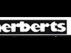 德國Herberts Industrieglas透視鏡