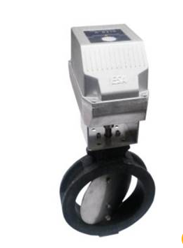 供應意大利ESA閥門